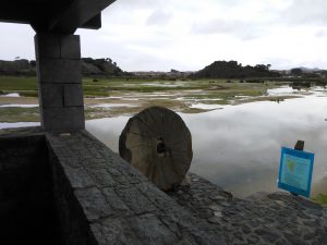 LAS MEJORES FOTOS DE LAS MARISMAS DE ISLA NOJA JOYEL Y SANTOÑA FOTOGRAFIAS DE VIAJES EN CANTABRIA PAISAJES (19)