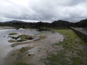 LAS MEJORES FOTOS DE LAS MARISMAS DE ISLA NOJA JOYEL Y SANTOÑA FOTOGRAFIAS DE VIAJES EN CANTABRIA PAISAJES (2)