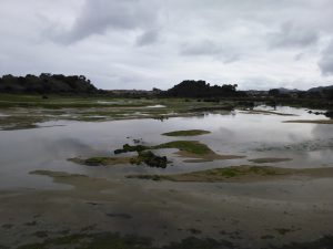 LAS MEJORES FOTOS DE LAS MARISMAS DE ISLA NOJA JOYEL Y SANTOÑA FOTOGRAFIAS DE VIAJES EN CANTABRIA PAISAJES (21)