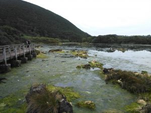 LAS MEJORES FOTOS DE LAS MARISMAS DE ISLA NOJA JOYEL Y SANTOÑA FOTOGRAFIAS DE VIAJES EN CANTABRIA PAISAJES (22)