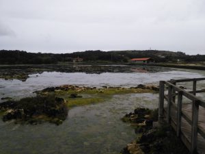 LAS MEJORES FOTOS DE LAS MARISMAS DE ISLA NOJA JOYEL Y SANTOÑA FOTOGRAFIAS DE VIAJES EN CANTABRIA PAISAJES (23)