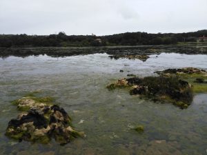 LAS MEJORES FOTOS DE LAS MARISMAS DE ISLA NOJA JOYEL Y SANTOÑA FOTOGRAFIAS DE VIAJES EN CANTABRIA PAISAJES (24)