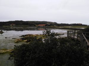 LAS MEJORES FOTOS DE LAS MARISMAS DE ISLA NOJA JOYEL Y SANTOÑA FOTOGRAFIAS DE VIAJES EN CANTABRIA PAISAJES (25)