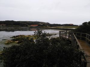 LAS MEJORES FOTOS DE LAS MARISMAS DE ISLA NOJA JOYEL Y SANTOÑA FOTOGRAFIAS DE VIAJES EN CANTABRIA PAISAJES (26)