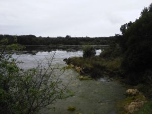 LAS MEJORES FOTOS DE LAS MARISMAS DE ISLA NOJA JOYEL Y SANTOÑA FOTOGRAFIAS DE VIAJES EN CANTABRIA PAISAJES (29)