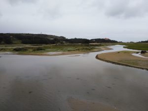 LAS MEJORES FOTOS DE LAS MARISMAS DE ISLA NOJA JOYEL Y SANTOÑA FOTOGRAFIAS DE VIAJES EN CANTABRIA PAISAJES (4)