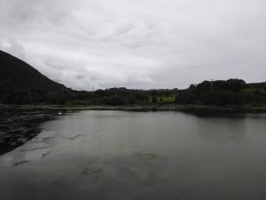 LAS MEJORES FOTOS DE LAS MARISMAS DE ISLA NOJA JOYEL Y SANTOÑA FOTOGRAFIAS DE VIAJES EN CANTABRIA PAISAJES (7)