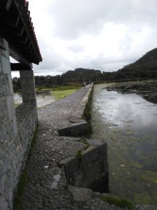 LAS MEJORES FOTOS DE LAS MARISMAS DE ISLA NOJA JOYEL Y SANTOÑA FOTOGRAFIAS DE VIAJES EN CANTABRIA PAISAJES (8)