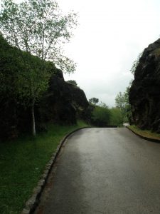 Fotos de Cabárceno Cantabria