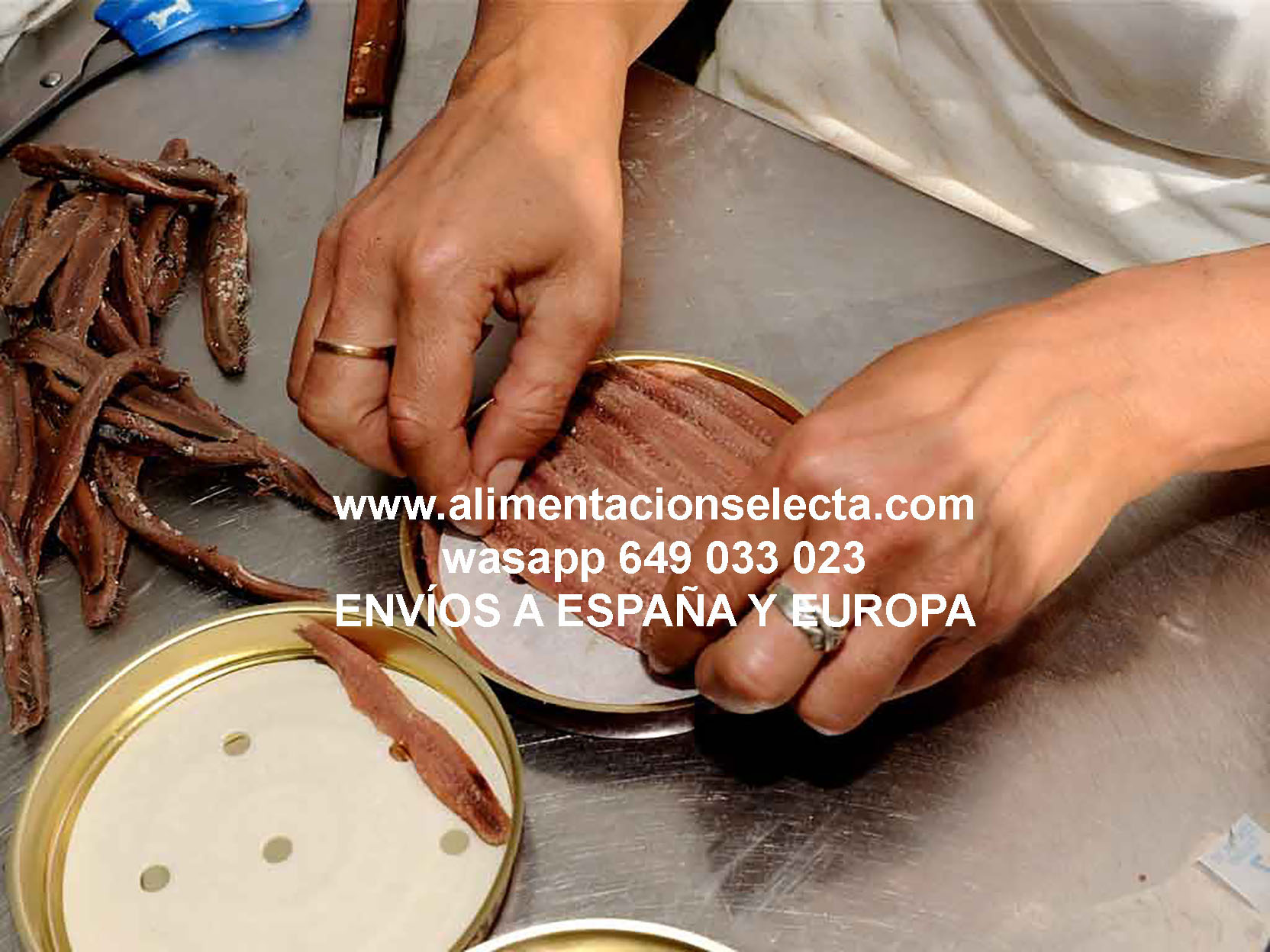 Auténtica anchoa de Santoña - Embutidos Pedro y Ana