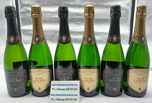 Comprar el mejor Cava Español 6 botellas de Cava Semiseco ó Cava Brut Vía de la Plata la Organización de Consumidores y Usuarios (OCU) ha publicado su lista anual de los mejores cavas y vinos espumosos y este año ha sorprendido a todos al elegir un cava extremeño como el mejor Cava del mercado. El Cava Vía de la Plata elaborado en Almendralejo (Badajoz, Extremadura), ha obtenido el prestigioso reconocimiento de ser declarado Mejor Cava Español y lo mejor de todo es que su precio es muy asequible como todos Ustedes pueden ver en esta web de Alimentación Selecta El Cava de las Bodegas Vía de la Plata con su reconocida tradición de producción de cava, garantiza la Calidad de sus vinos espumosos, y su variedad de opciones satisface a una amplia gama de paladares. No es de extrañar que esta elección esté generando un gran interés de compra entre todos los amantes del buen vino en toda España. Si Usted quiere comprar la mejor calidad de Cavas Españoles ésta es su mejor opción Calidad Precio en caja de 6 botellas de cava brut ó cava semiseco Vía de la Plata - Vendemos la mejor Calidad de Cavas de España entregados en una caja con 6 botellas de 70 cl cada una de ellas avaladas por el reciente Premio de la OCU como Mejor Cava Español. Nuestros Cavas Extremeños representan la más alta calidad de todos los cavas españoles pero al mejor precio y es que la publicidad de nuestros cavas extremeños sólo se basa en el boca a boca, no en el pago de cantidades exorbitadas de dinero a programas de televisión gastos de publicidad etc, por eso nuestros cavas españoles son cavas que Ustedes pueden comprar al mejor precio del mercado Nuestros cavas extremeños se basan en la crianza y elaboración en base a las uvas Macabeo aproximadamente un 70% y Parellada un 30% con un grado alcohólico de 11,75% y su crianza puede situarse entre los 9 y 25 meses Por su excelente calidad en la mezcla de los aromas estos cavas españoles son un auténtico regalo para los sentidos de todos aquellos que buscan comprar un excelente cava a un excelente precio y con la posibilidad además de escoger entre dos variedades Brut ó Semiseco sin problemas, lo que estamos seguros es que con cualquiera de las dos elecciones les vamos a volver locas todas sus papilas gustativas y además a un precio contenido al máximo Como estas 6 Botellas de Cava Español Vía de la Plata Ud tiene la posibilidad de comprar Productos Gourmet Españoles como las Anchoas de Santoña, Bonito ó Ventresca del Norte Productos Gourmet de Galicia, Espárragos y Pimientos de Navarra, una selección de Quesos Naturales de Cantabria, Embutidos Ibéricos, Los Mejores Orujos de España, Sobaos y Quesadas de Cantabria, etc…Todo un universo de sabores elaborados en base a productos naturales y artesanales 100% Gracias a su excelente precio merece la pena comprar las Botellas en cajas de 6 en 6 pues así tiene la oportunidad de comprar cava tanto para regalar como para regalarse y acompañarlo si quiere de la compra de algunos de los Mejores Productos Gourmet Españoles del mar o del campo Gracias a la Calidad y el buen saber hacer de nuestros bodegueros extremeños tenemos la posibilidad en Alimentación Selecta de ofrecerles unos excelentes Cavas Españoles a un excelente precio. Cavas perfectos para el disfrute tanto en aperitivos como en finales de fiestas y celebraciones a un excelente precio Garantizamos la Calidad de estos Cavas Premium especialmente elaborados para todos aquellos que de verdad buscan en su paladar un producto de calidad completamente artesanal y con inconfundible aroma y sabor gracias a la elaboración y mezcla de sus uvas Seguro que tiene amigos o compañeros de trabajo que ya se han tomado alguna copa de Cava Premium con nuestra Selección de Cavas Extremeños en alguna fiesta o celebración ellos mejor que nadie le pueden contar las exquisiteces de su aroma y posibilidades de combinación No podemos garantizar este precio de oferta de los Cavas Premium Vía de la Plata todo el año aproveche ahora este precio de la caja de 6 Botellas de Cavas Españoles en Oferta No lo olvide si busca dónde comprar el Mejor Cava Español la OCU Organización de Consumidores y Usuarios de España acaba de declarar nuestro Cava como el Mejor Cava Español, y si encima nosotros les ofrecemos la posibilidad de comprar Cava junto con los Mejores productos Gourmet Españoles y todo ello a un gran precio y con el mejor servicio a domicilio tanto a España como a Europa, pues el éxito y el sabor están garantizados. GRACIAS Y A BRINDAR CON CAVA ESPAÑOL!!!